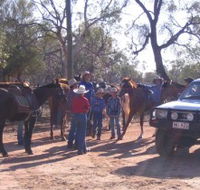 Evening Star Tourist Park - Accommodation Sydney