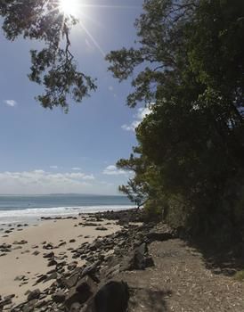 Sofitel Noosa Pacific Resort - Accommodation Sydney 36