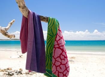 Sofitel Noosa Pacific Resort - Accommodation Sydney 38
