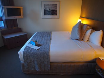 Hotel Urban St Leonards - Sydney 4u 59