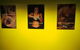 Hotel Urban St Leonards - thumb 84