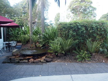 Hotel Urban St Leonards - Sydney 4u 101
