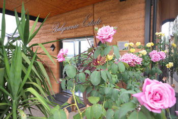 Balgownie Estate Vineyard & Spa - Accommodation Sydney 2