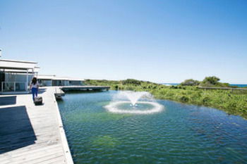 Caves Beachside Hotel - Sydney 4u 42