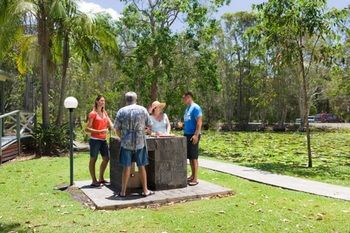 Darlington Beach Resort & Holiday Park - Sydney 4u 66