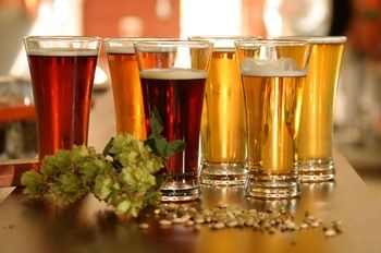 Potters Hotel Brewery Resort - Sydney 4u 12