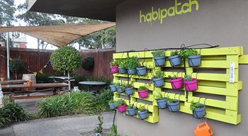 Habitat HQ - Hostel - Accommodation Sydney 24