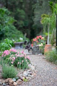 Noosa Valley Manor B&B Retreat - Sydney Resort 12