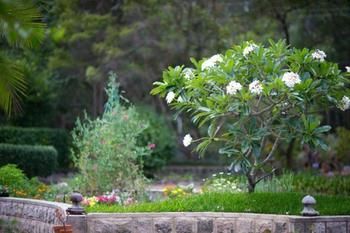 Noosa Valley Manor B&B Retreat - Sydney Resort 13