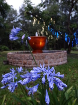 Noosa Valley Manor B&B Retreat - Sydney Resort 34