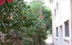 Waldorf Hornsby Residential Apartments - thumb 8