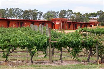De'Vine Escape - Accommodation Sydney 4