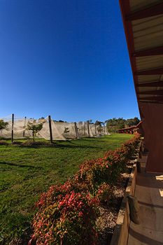 De'Vine Escape - Accommodation Sydney 5