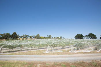 De'Vine Escape - Accommodation Sydney 12