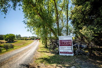 De'Vine Escape - Accommodation Sydney 22