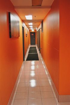 Jackaroo Hostel Sydney - Accommodation Sydney 13