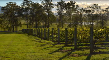 H Boutique Hotel - Accommodation Sydney 34