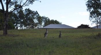 H Boutique Hotel - Accommodation Sydney 40