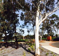 Box Hill Studios at Canterbury Gardens - Accommodation Sydney