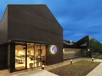 Vibe Hotel Marysville - Sydney 4u 3