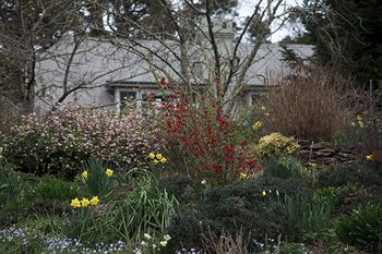 Parklands Country Gardens And Lodges - Sydney Resort 12