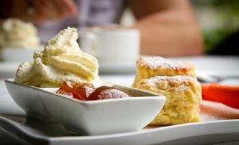 Riverwood Downs Mountain Valley Resort - Accommodation Sydney 1