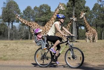 Zoofari Lodge, Taronga Western Plains Zoo - Accommodation Sydney 7