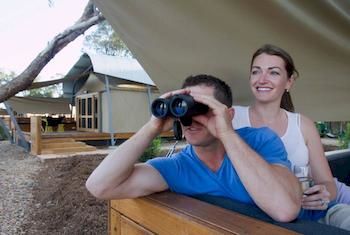 Zoofari Lodge, Taronga Western Plains Zoo - Accommodation Sydney 12