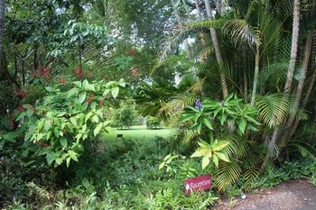 Sunshine Valley Cottages - Accommodation Sydney 8