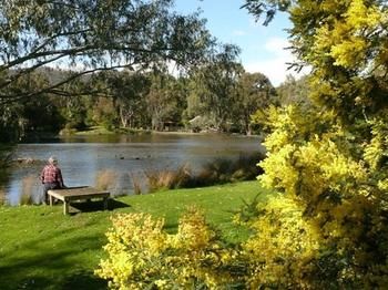 The Burrow At Wombat Bend - Sydney 4u 0