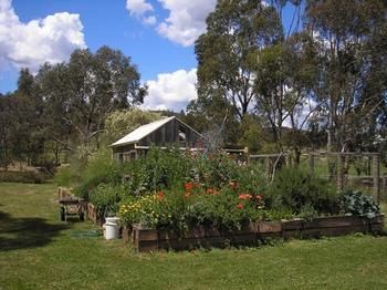 The Burrow At Wombat Bend - Sydney 4u 4