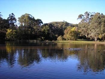 The Burrow At Wombat Bend - Sydney 4u 7