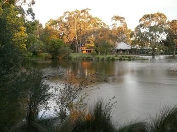 The Burrow At Wombat Bend - Sydney 4u 9