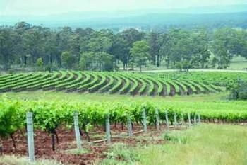 Hunter Hideaway Cottages - Sydney 4u 3