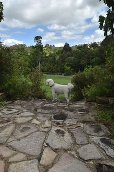 Coverdales B & B At Eumundi - Sydney Resort 23