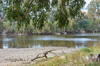 Gundagai Cabins & Tourist Park - Accommodation Sydney 34