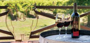 Wild Cattle Creek Estate - Accommodation Sydney 10