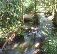 Treetops Accommodation Montville - Sydney 4u