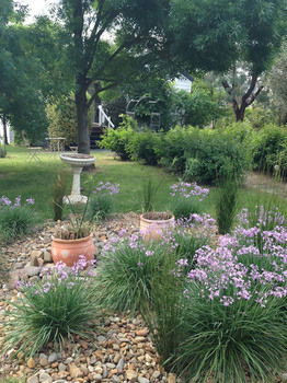 Yarraglen BnB - Accommodation Sydney 19