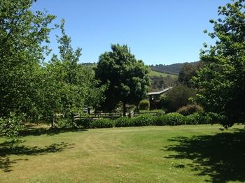 Yarraglen BnB - Accommodation Sydney 27