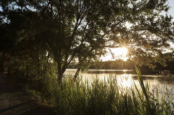 Ingenia Holidays Nepean River - Sydney 4u 41