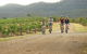 Hunter Valley YHA - Hostel - thumb 36