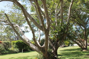 Buderim Fiesta Motel - Accommodation Sydney 19
