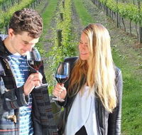 Valley Farm Vineyard Cottages - Accommodation Sydney