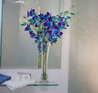 Grand Hotel Wyong - Sydney Resort