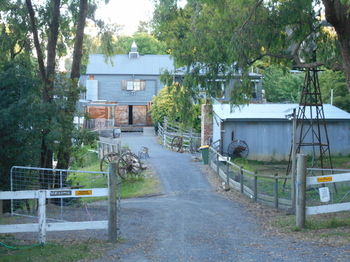 A Twist Of Willow - Sydney 4u 19