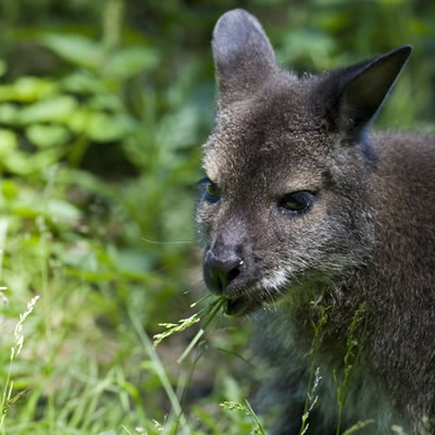 Allure Beach Retreat - Accommodation Sydney 6