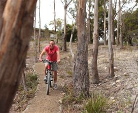 Tranquil Point Retreat - Sydney 4u 1