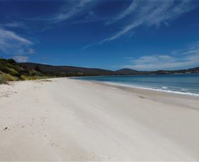 White Beach Tourist Park - Sydney 4u 1