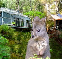 Huon Bush Retreats - Accommodation Sydney